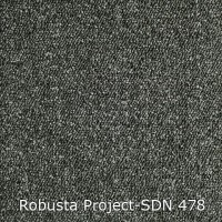 Robusta Project-SDN 478